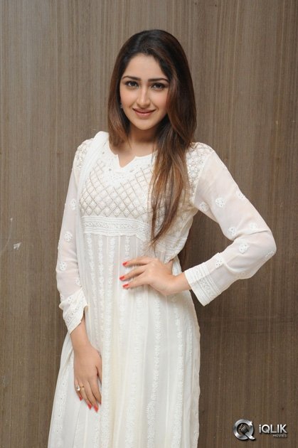 Sayesha-Saigal-at-Akhil-Movie-Success-Meet